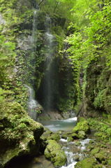 桂川渓谷３