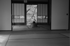 京王百草園その１