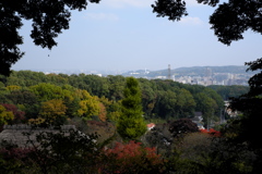 京王百草園その７