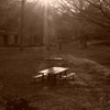 Otani-do Park 2