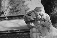 多摩市・小野神社より。その８