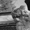 多摩市・小野神社より。その８