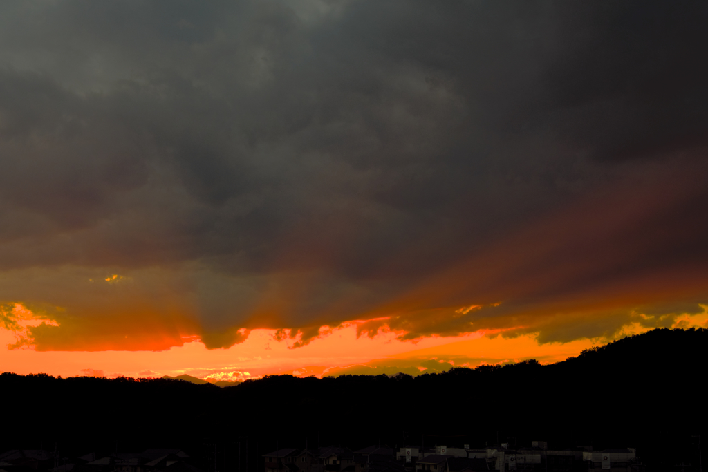 evening