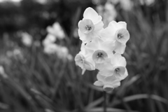 百草園にて。