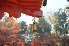 紅葉06