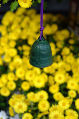 高幡不動尊。菊祭りにて
