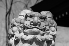 多摩市・小野神社より。その９