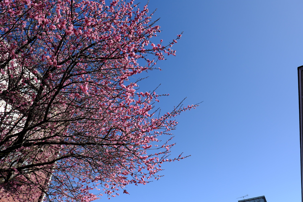 青空