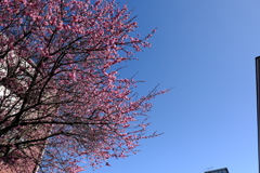 青空