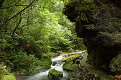 桂川渓谷６
