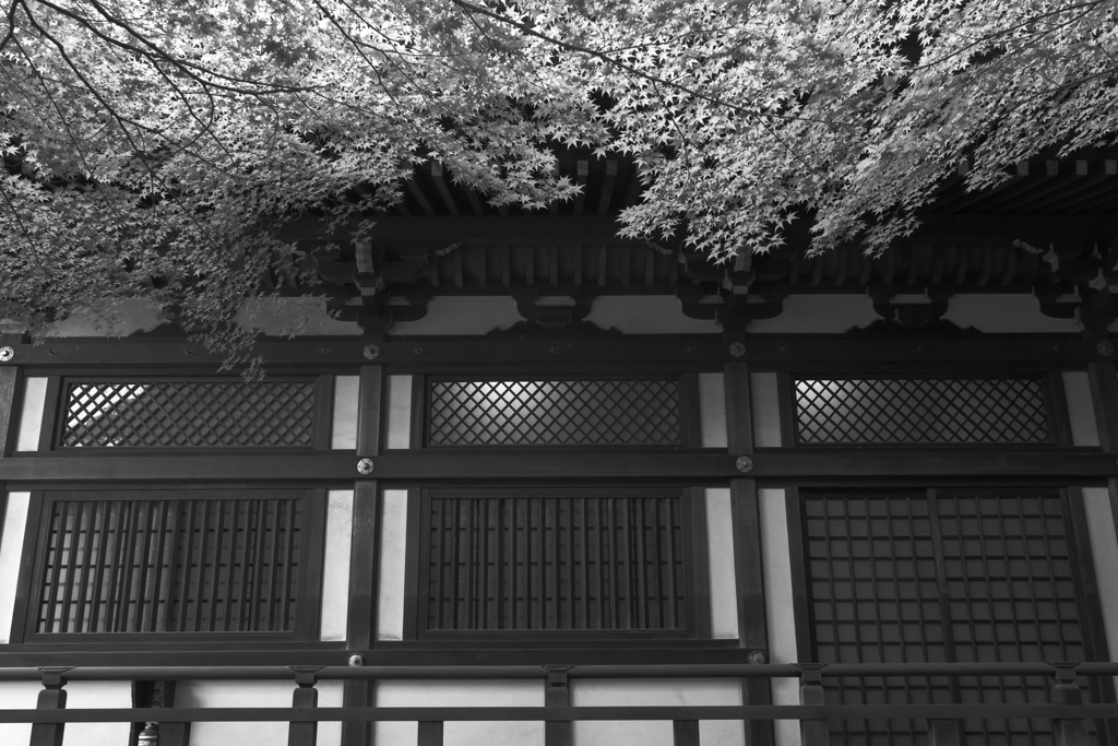 高幡不動尊　大日堂