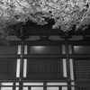 高幡不動尊　大日堂
