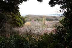 百草園にて。。。。