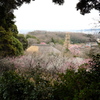 百草園にて。。。。