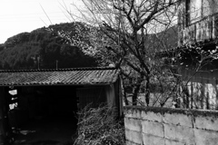 実家の風景。その３