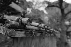 百草園にて。。。