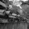 百草園にて。。。