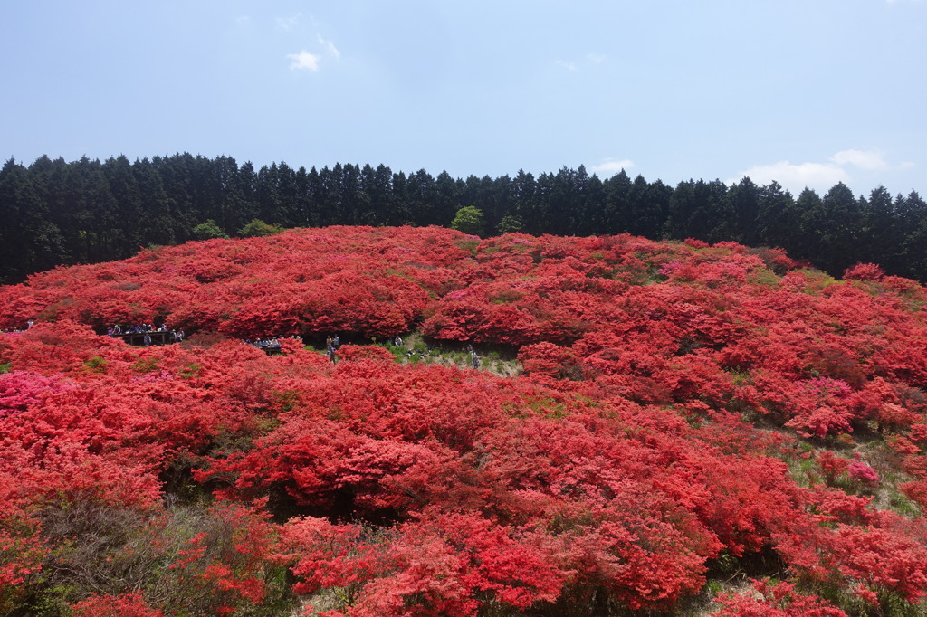 大和葛城山