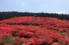 大和葛城山