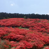 大和葛城山