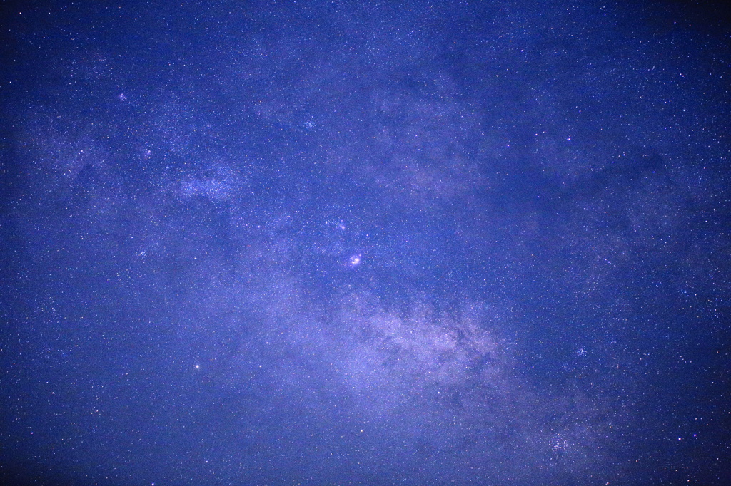 星野2