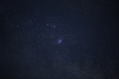 星野1