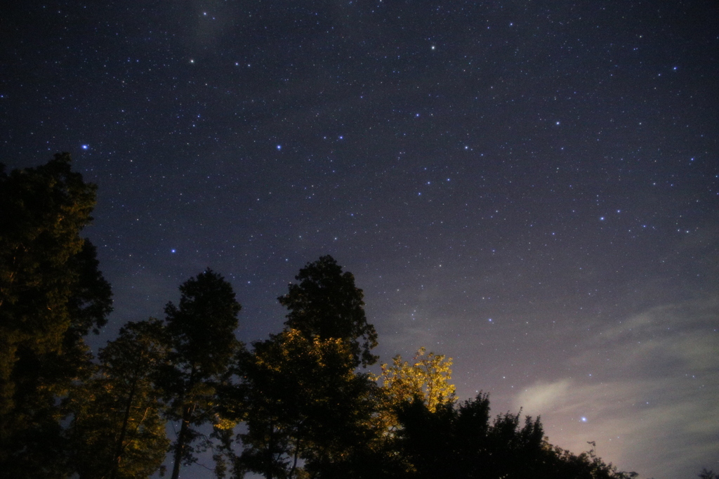 南方面の星空