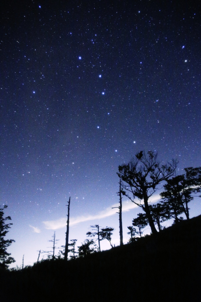 大台ケ原の星空 (6)