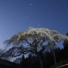 外大野の桜と北斗七星
