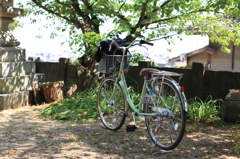 神社の境内