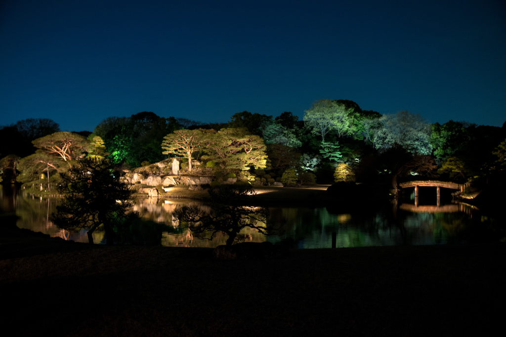 六義園の夜