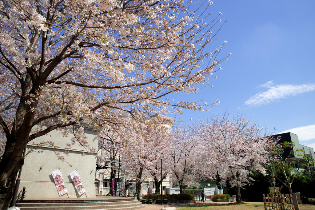 門と蔵のある広場