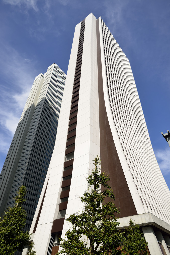 新宿高層ビル群