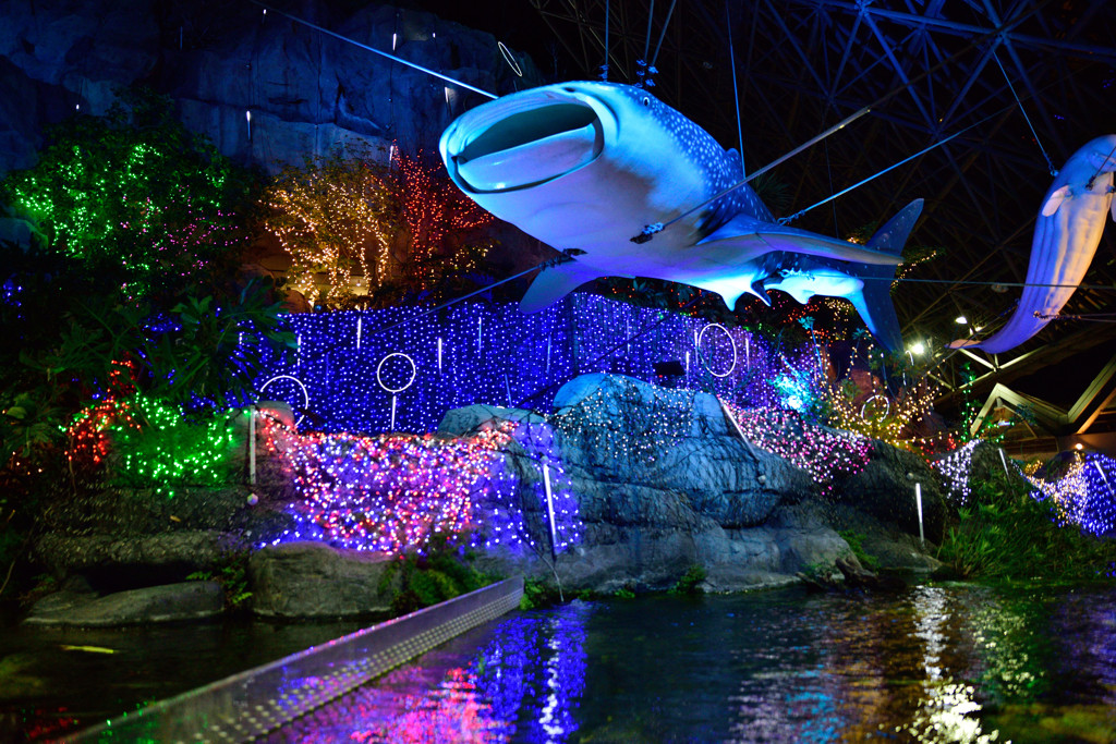 八景島ｼｰﾊﾟﾗﾀﾞｲｽ