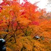 京都