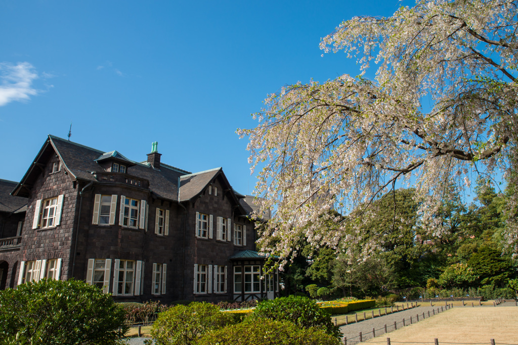 明治の西洋館_古河庭園
