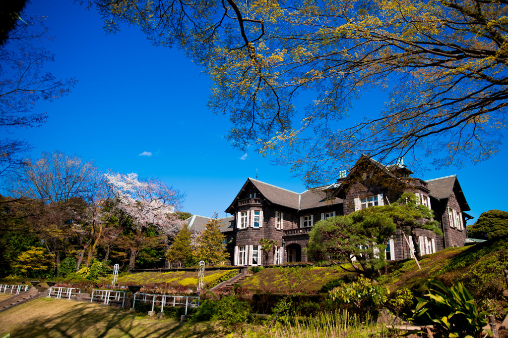 旧古河庭園の春