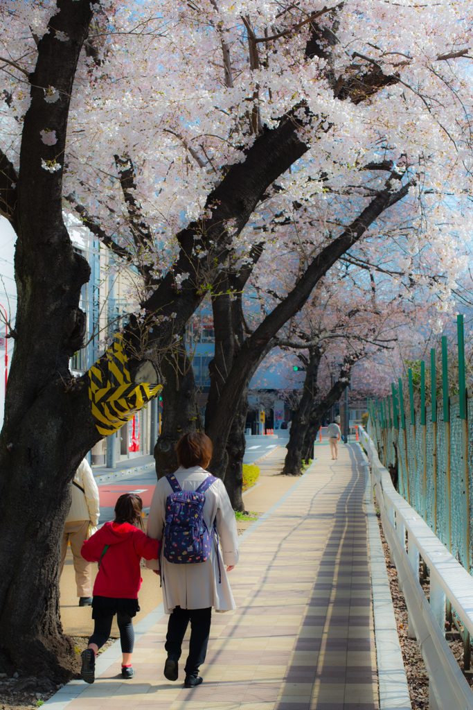 ぶつからないよう気を付けて　"母と娘"