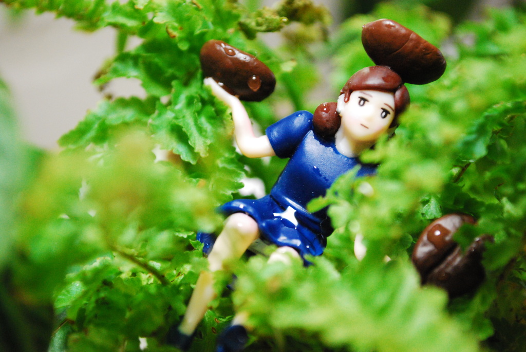 恵み