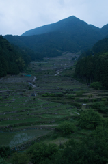 四谷の千枚田