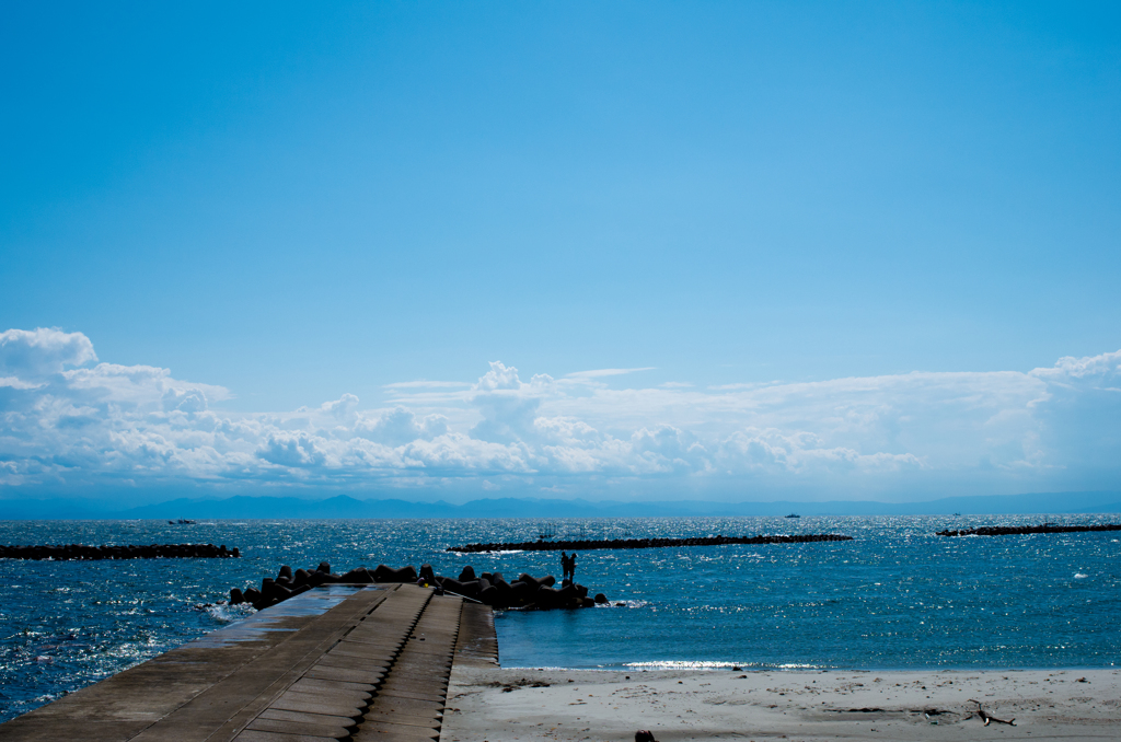 知多の海