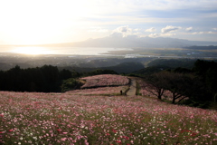  白木峰高原