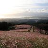  白木峰高原