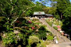 大津山阿蘇神社