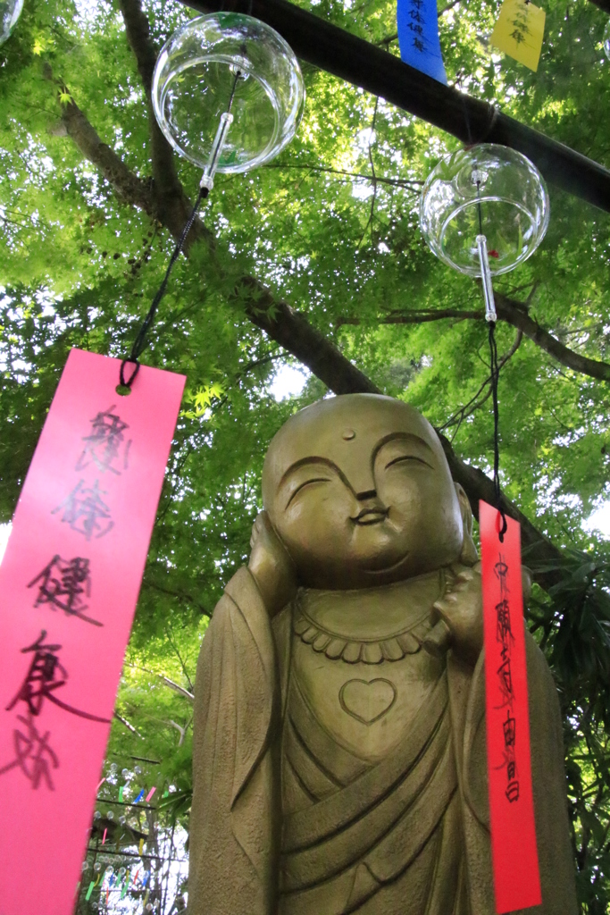 _　暑中お見舞い申し上げます