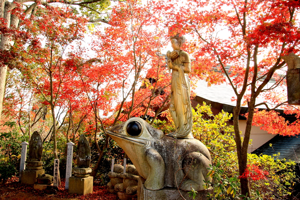 　かえる寺（如意輪寺）　１