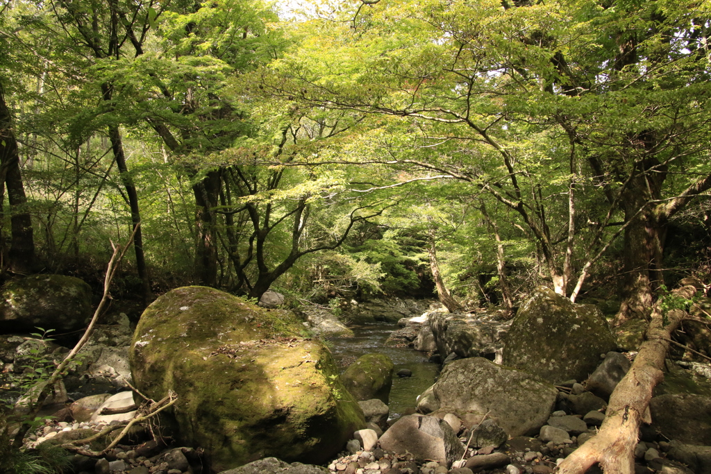 　マゼノ渓谷　２