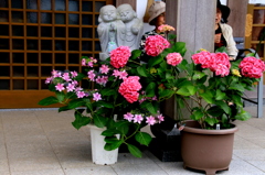 仲良し地蔵