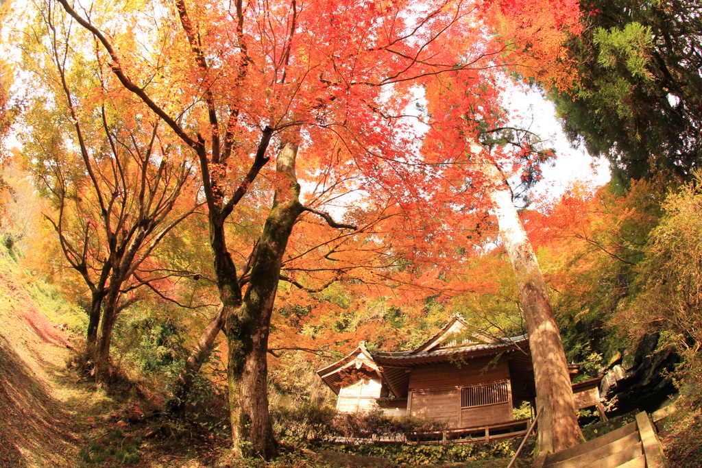 　八女津媛神社　１