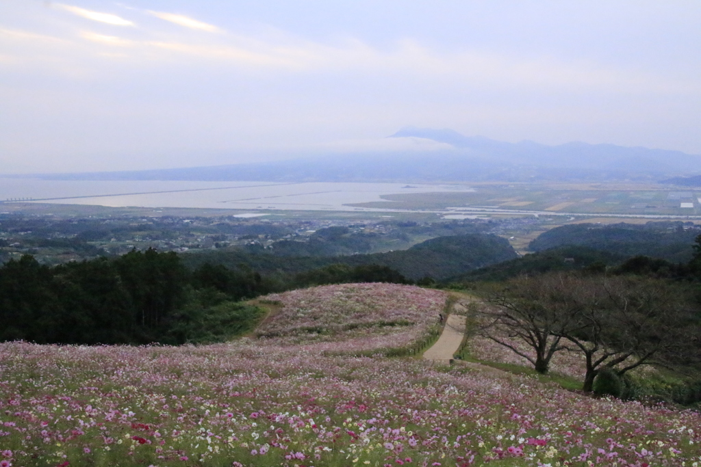 _白木峰高原　２